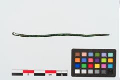 Foto von Bronzenähnadel (NHMW-PRAE-024978)